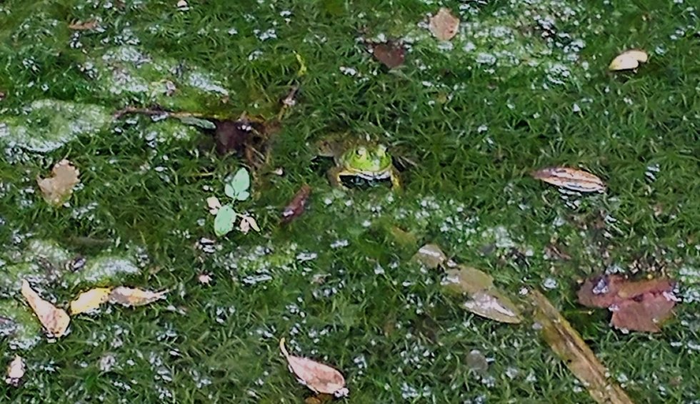 10 Michigan Lakes You Need To Visit This Summer