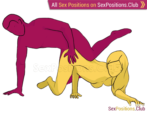 Cat Style Sex Position