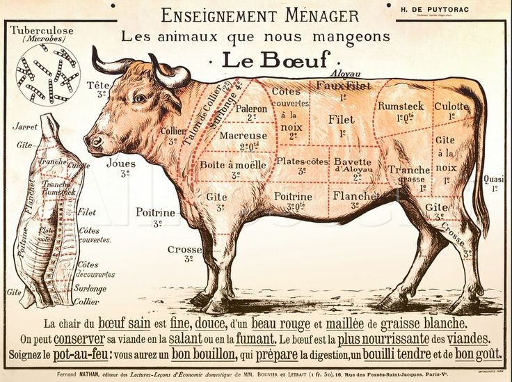 How Butchery Maps Turn Cows Into Territory Big Think