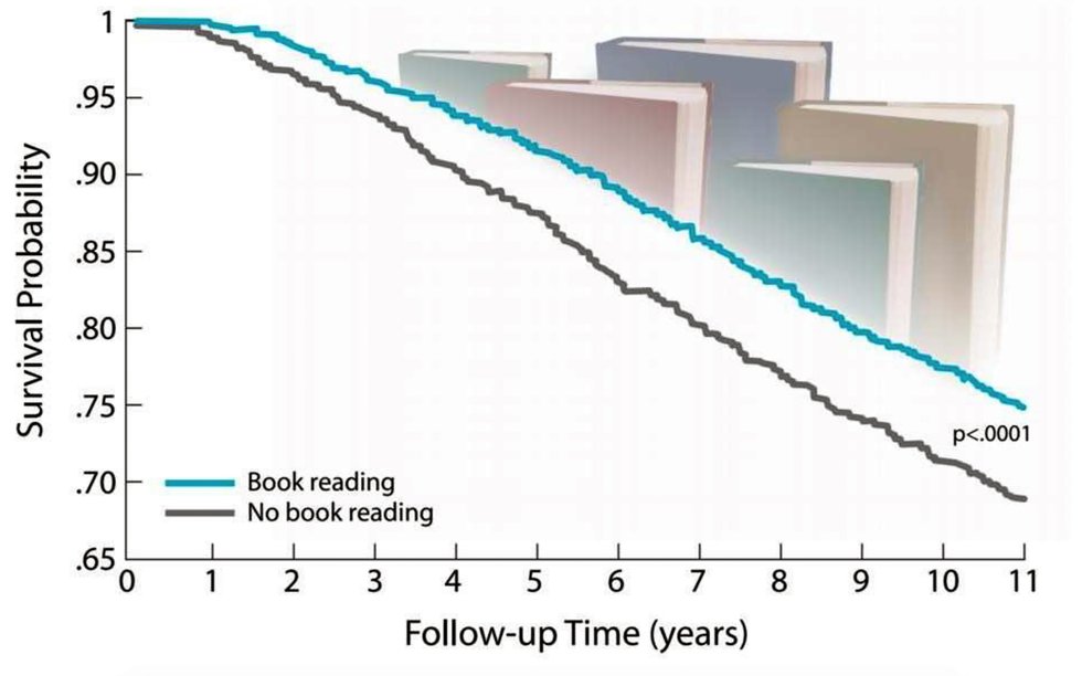 Survival Probility chart.