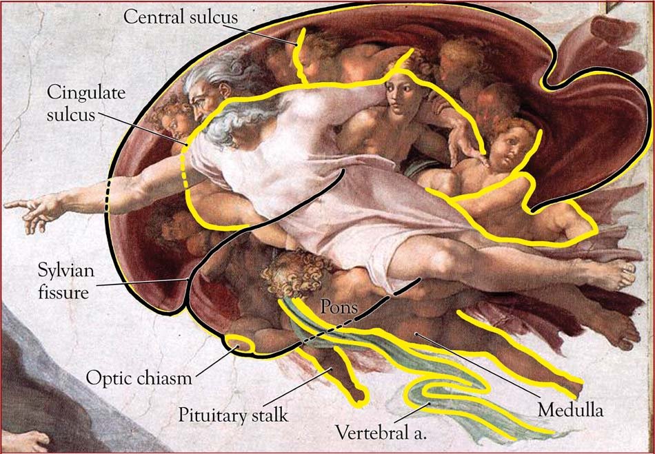 Did Michelangelo Hide Secret Messages In The Sistine Chapel S Ceiling Big Think