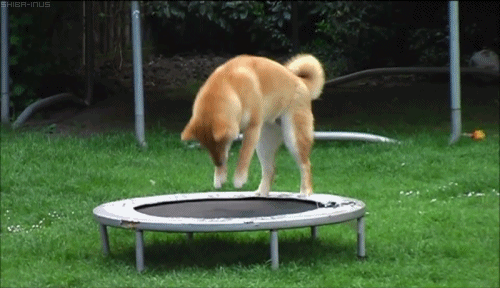 ass, but at least it wasn