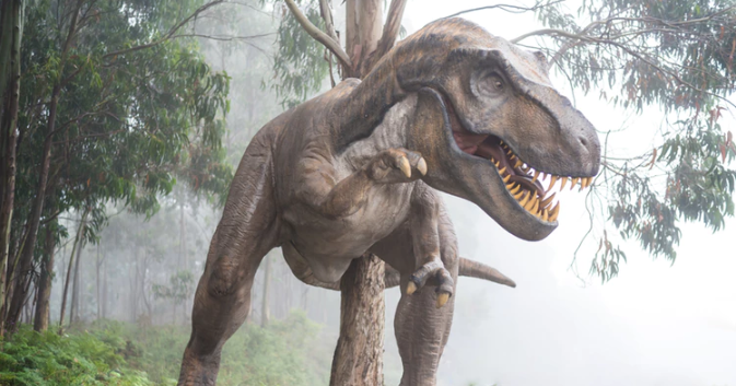 Unsplash- T rex statue