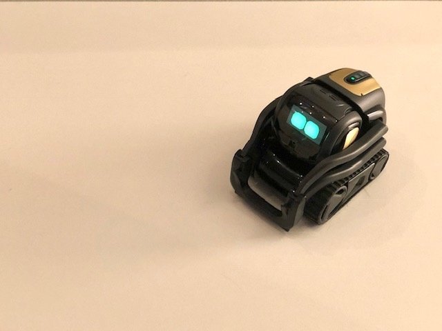 anki vector review