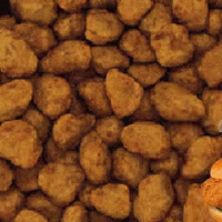 Chicken Nuggets and Sandwich