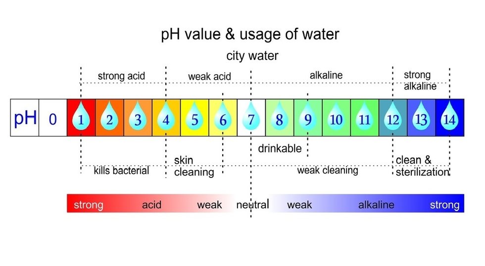 Is Alkaline Water Worth Its Price Tag? - xoNecole