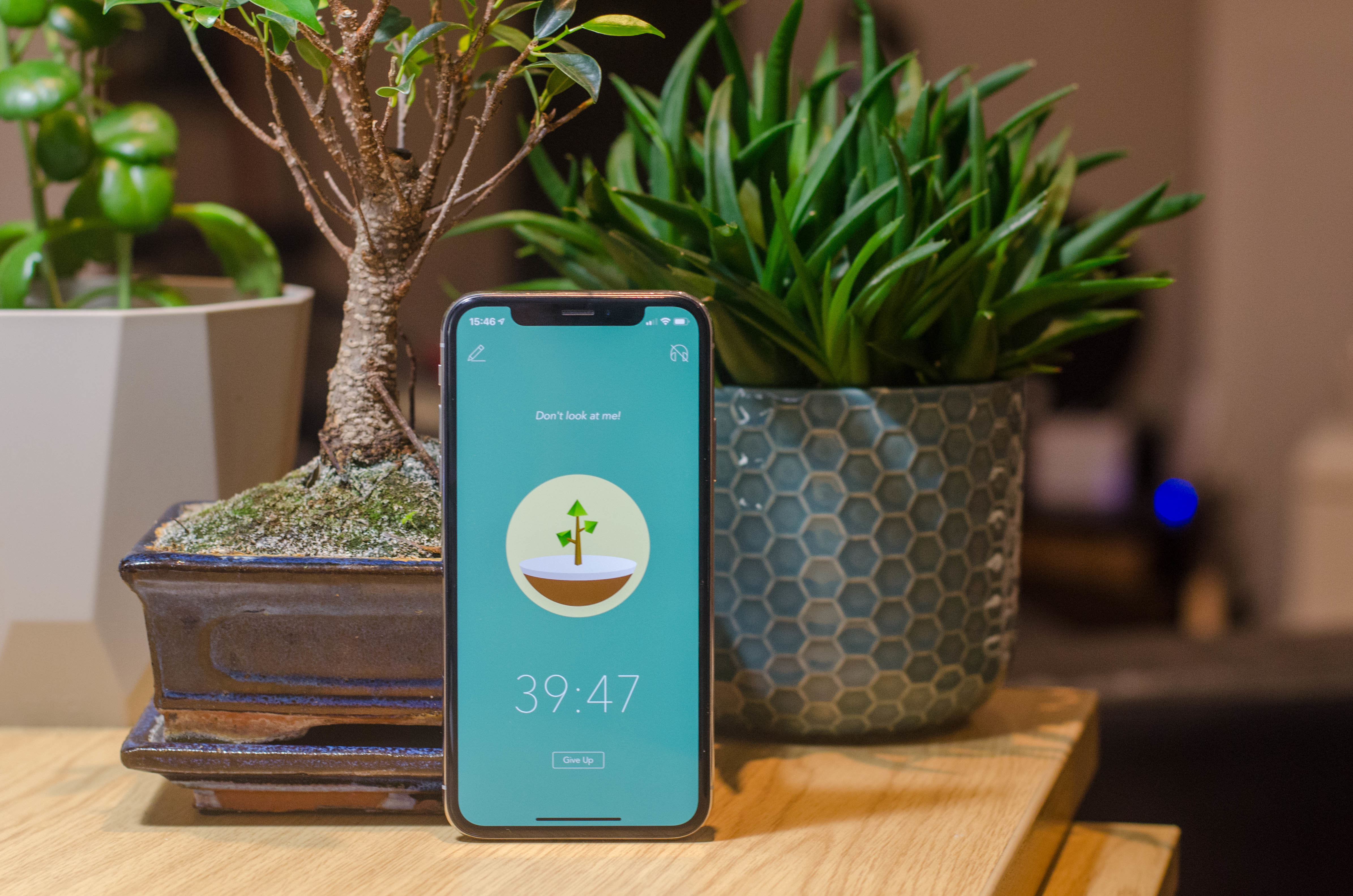 Forest smartphone app helped me concentrate by growing trees - Gearbrain