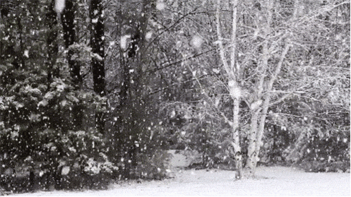 Winter gif
