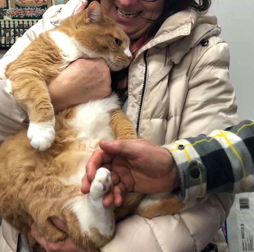 Cat Who Was Rejected for Being a Lap Cat, Finds Family that Loves Him