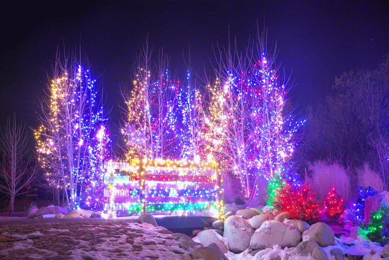 Christmas Lights