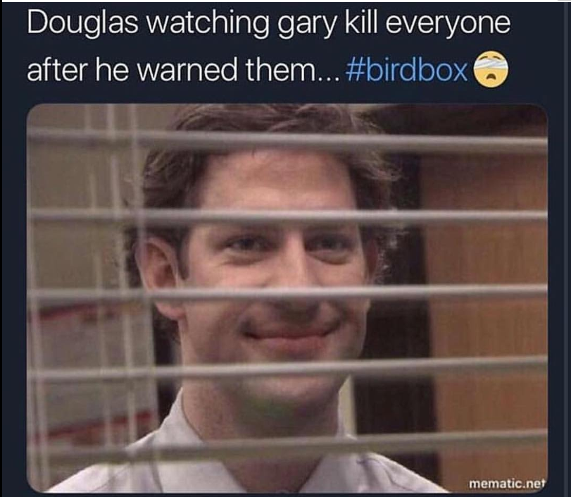 23 Hilarious 'Bird Box' Memes Thanks To The