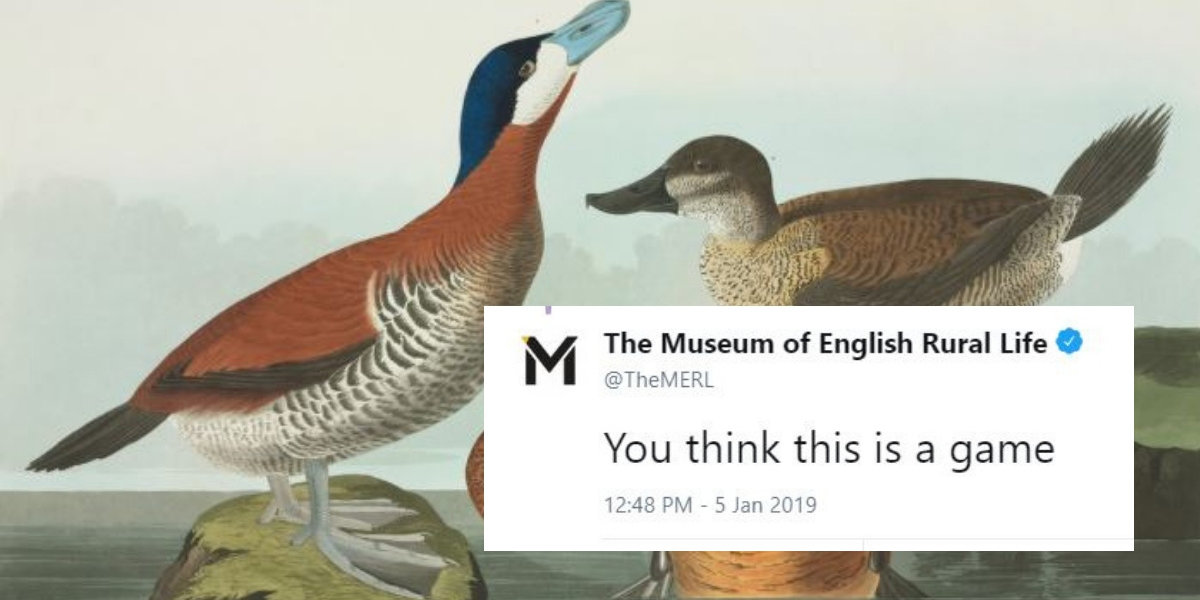 Museums Are Trying To One-Up Each Other With Pictures Of Ducks—And We're Quacking Up ????????