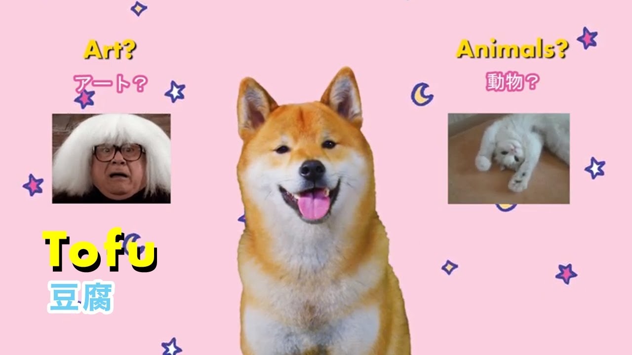 Tofu Chan Will Make Your Day