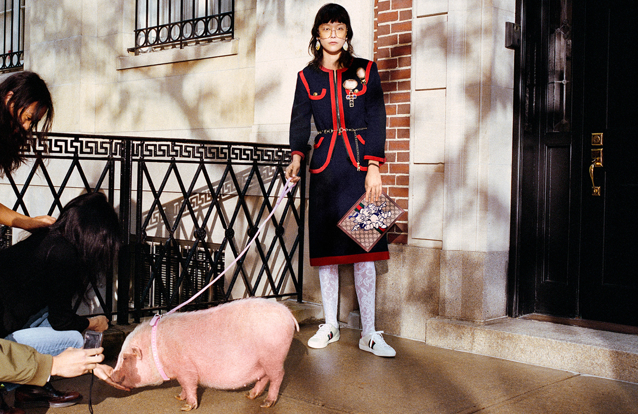 Gucci Unveils Year of the Pig Line for Year -