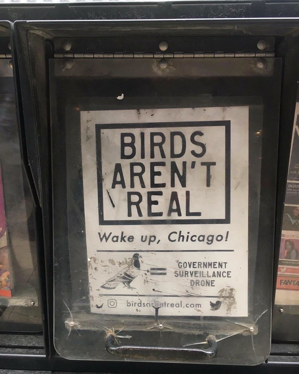Are Birds Real?