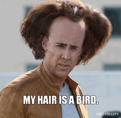 bird hair