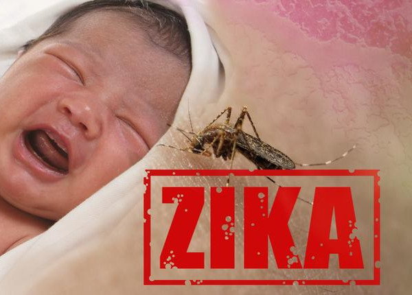 zika virus and crying baby
