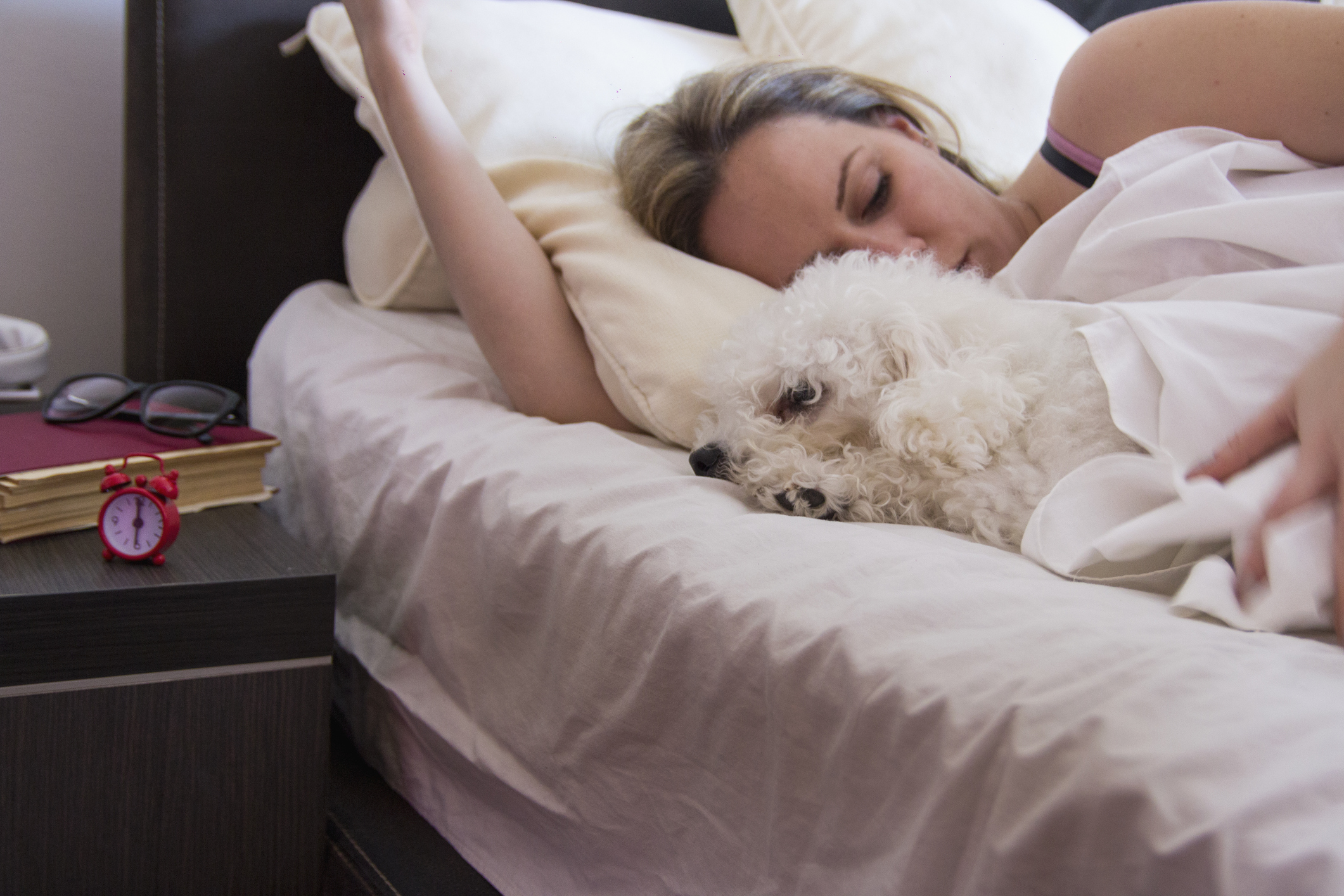 sharing bed with dog