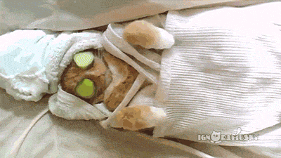 kitty facial