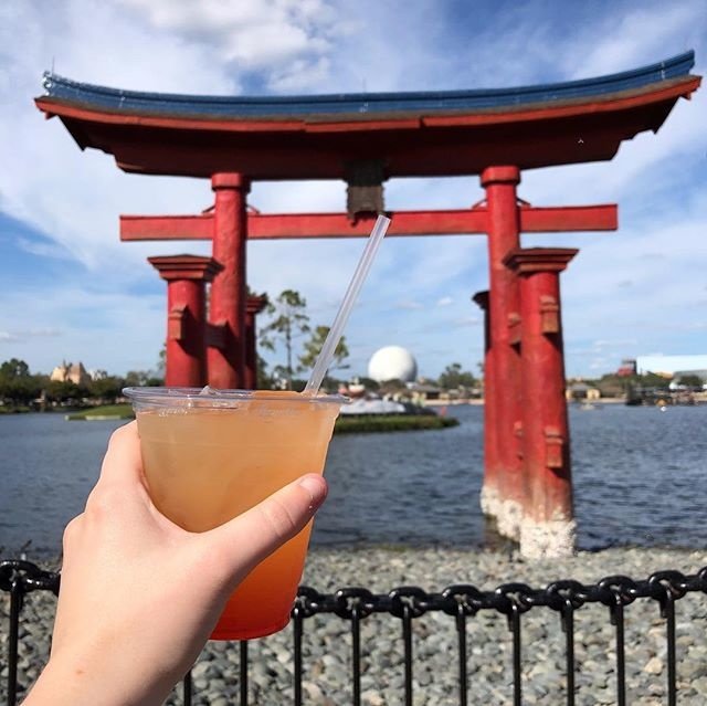 epcot-drinks-in-each-country-at-amelia-truebridge-blog