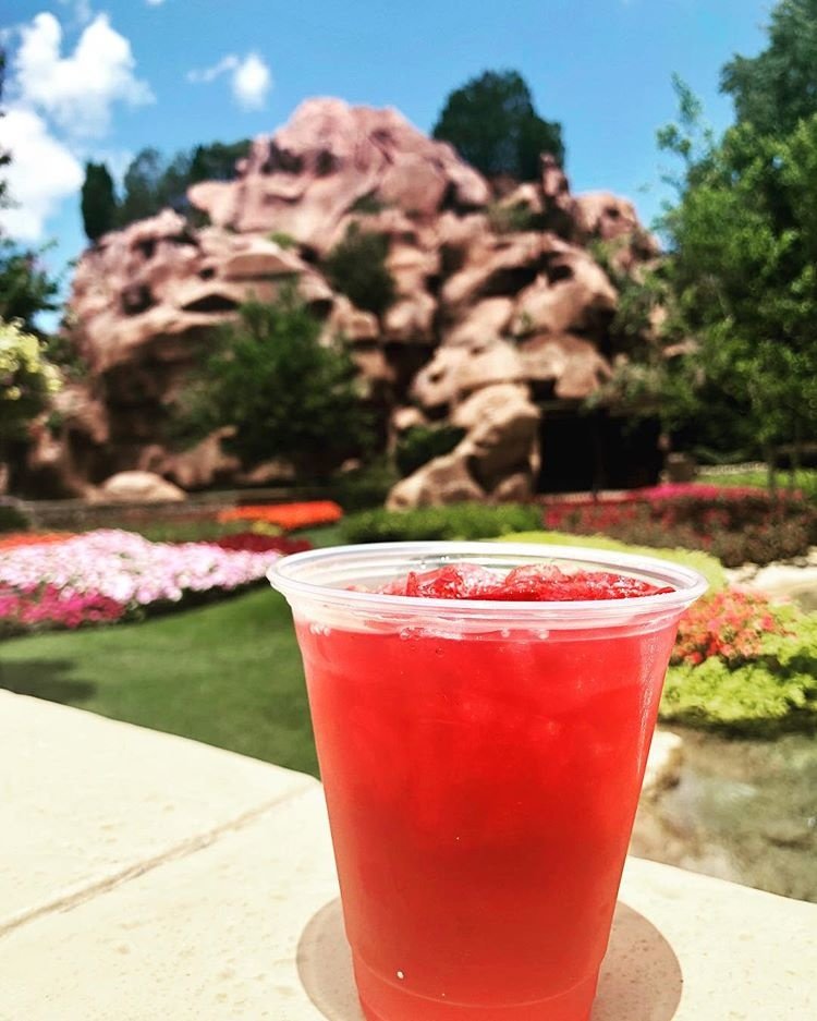 The Best Alcoholic Drinks From Each 'Country' In Epcot's World Showcase
