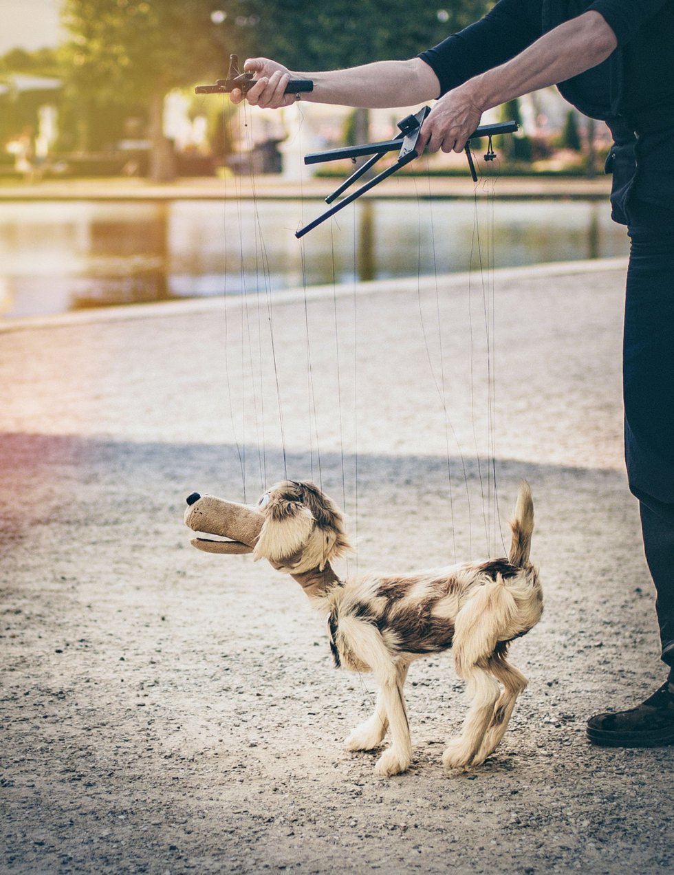 Dog puppet on strings