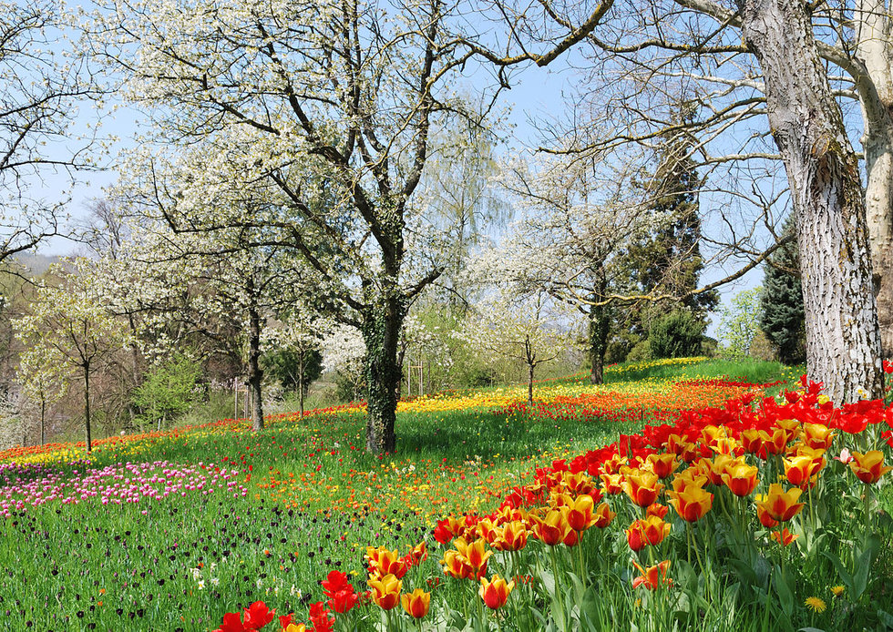 spring time