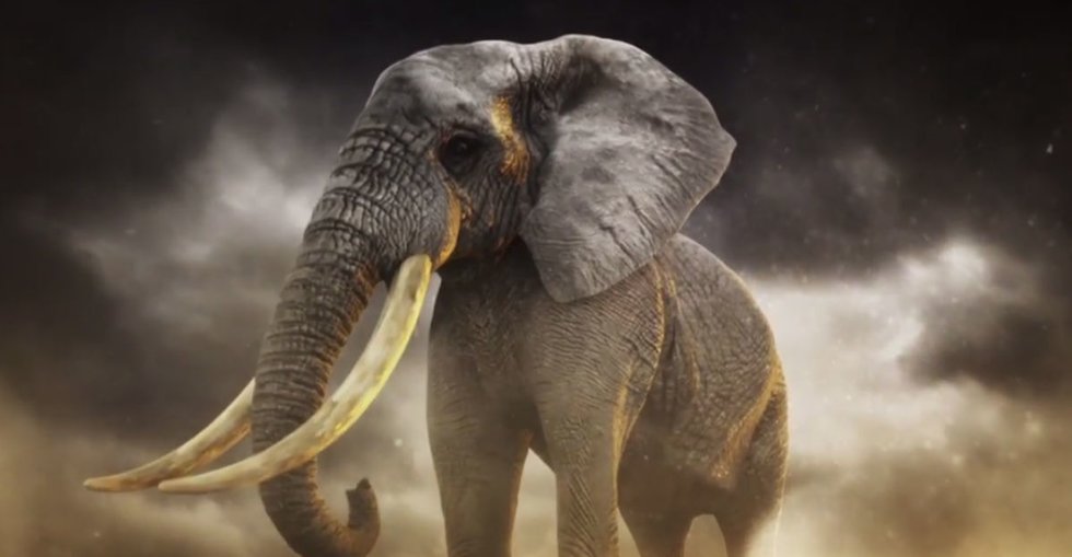 The endangered elephants of Africa have an unlikely hero: Billy Joel ...