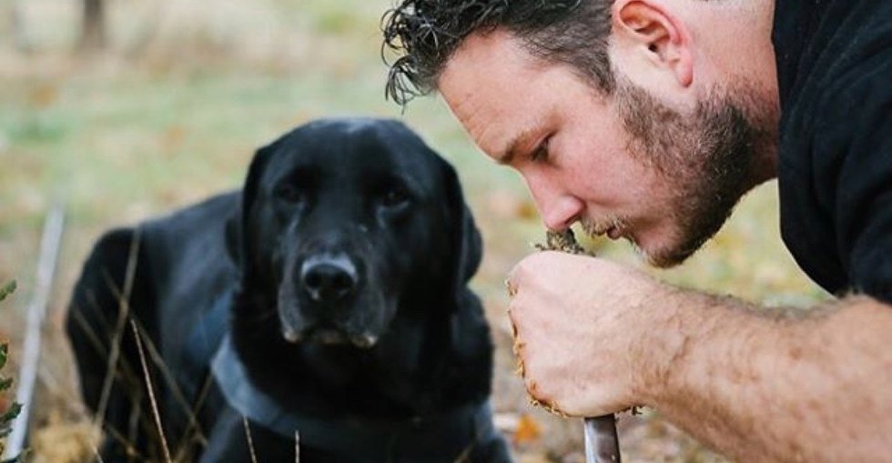 Fall in love with these truffle-hunting rescue dogs. - Upworthy