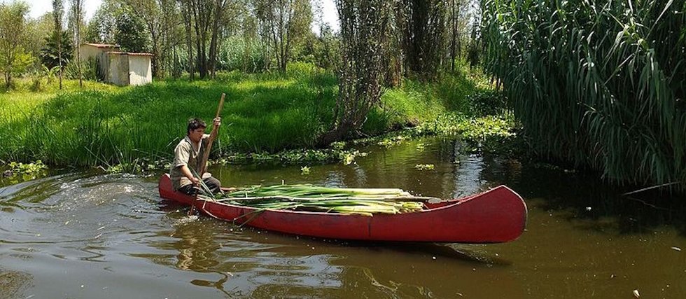 chinampas-what-they-are-how-they-work-and-why-they-matter-today-more