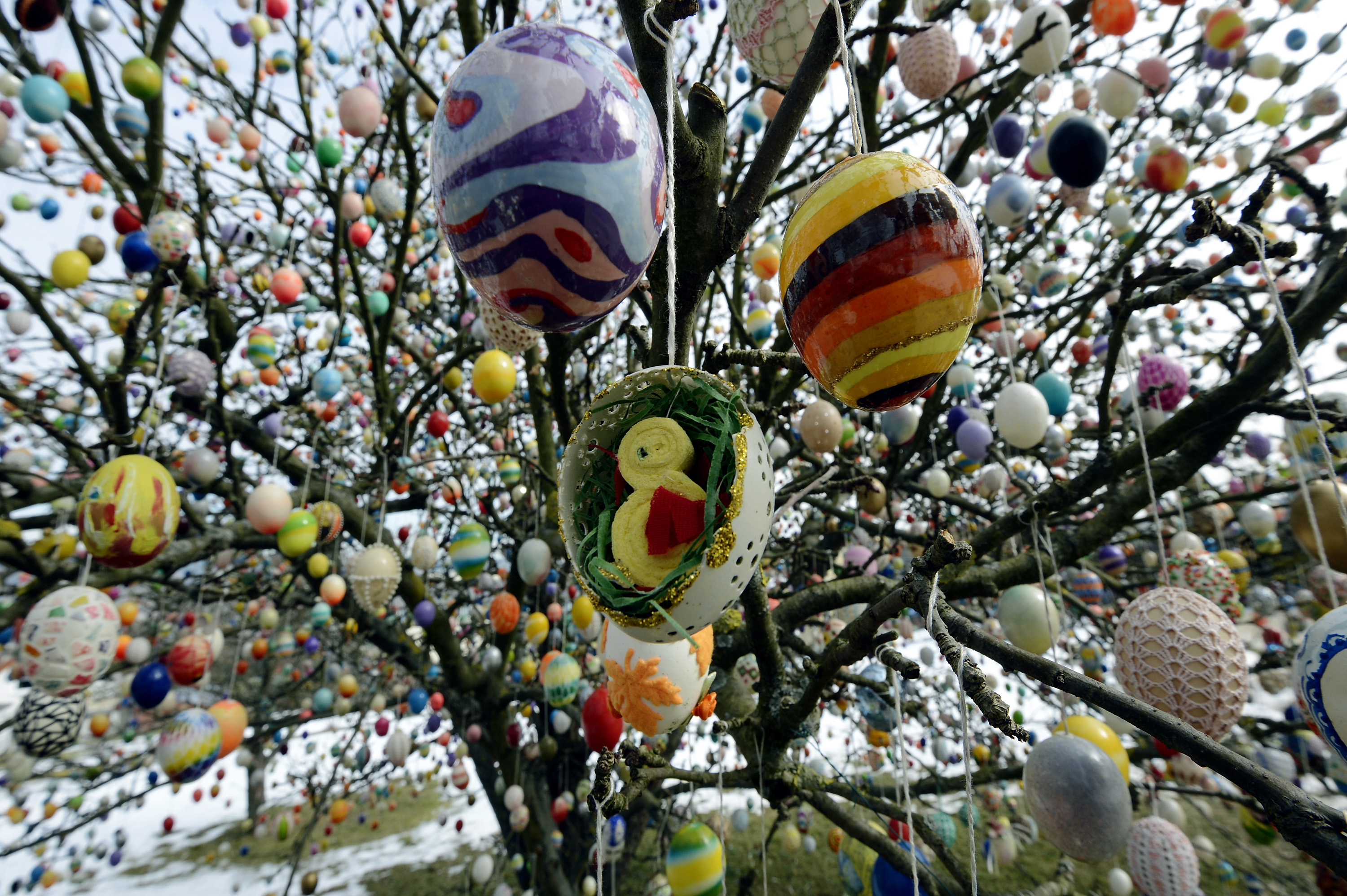 Pasqua, ecco l'albero dalle 10.000 uova - Panorama