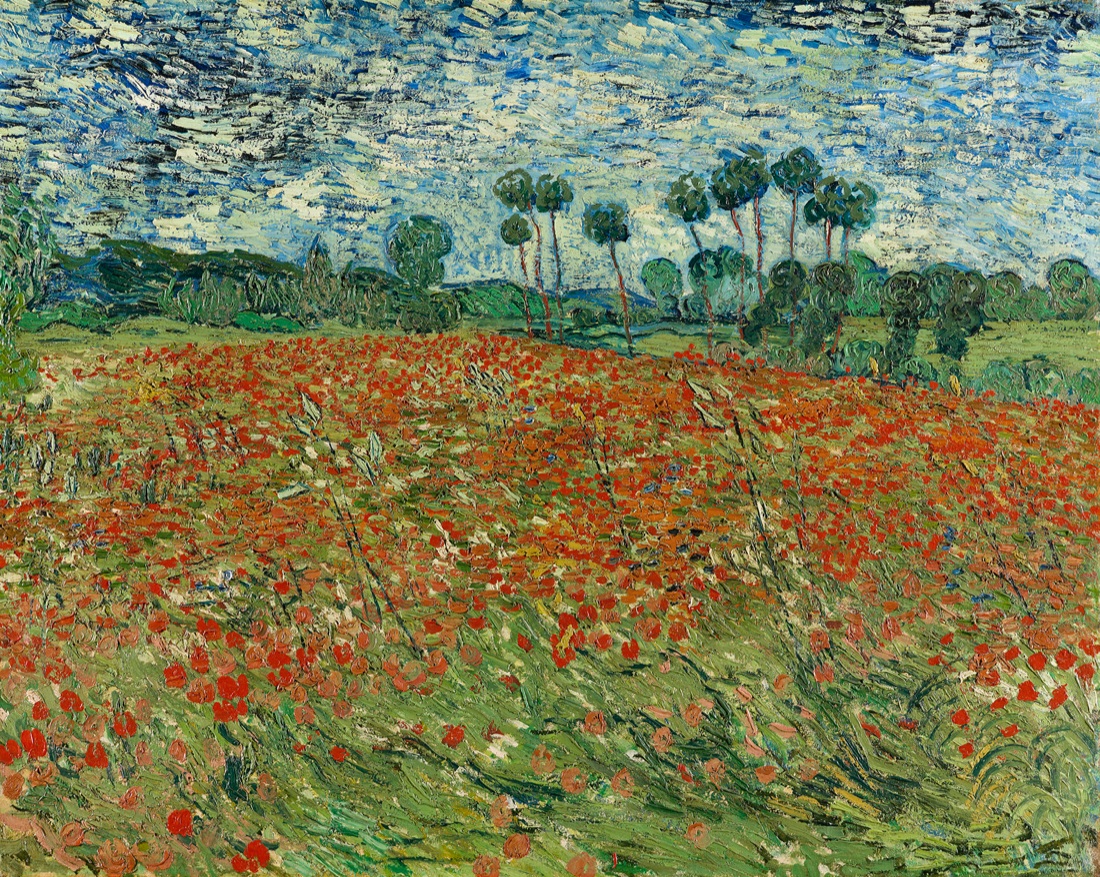 Van Gogh Papaverveld