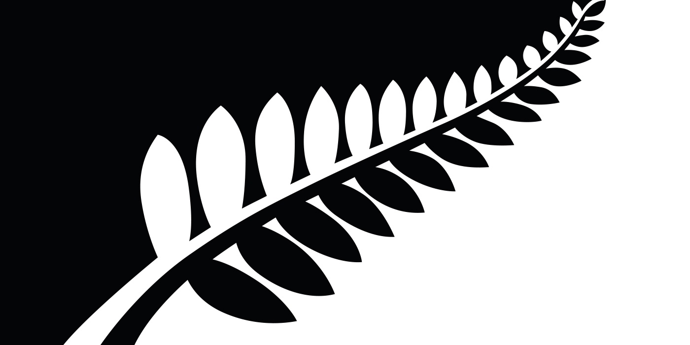 Which One Of These Designs Will Become New Zealand S Next Flag Good