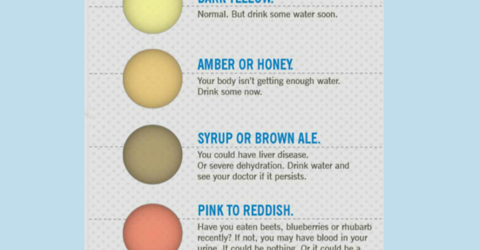 What Color Should Your Pee Be? - GOOD