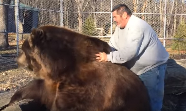 L'amicizia fra un orso e un uomo