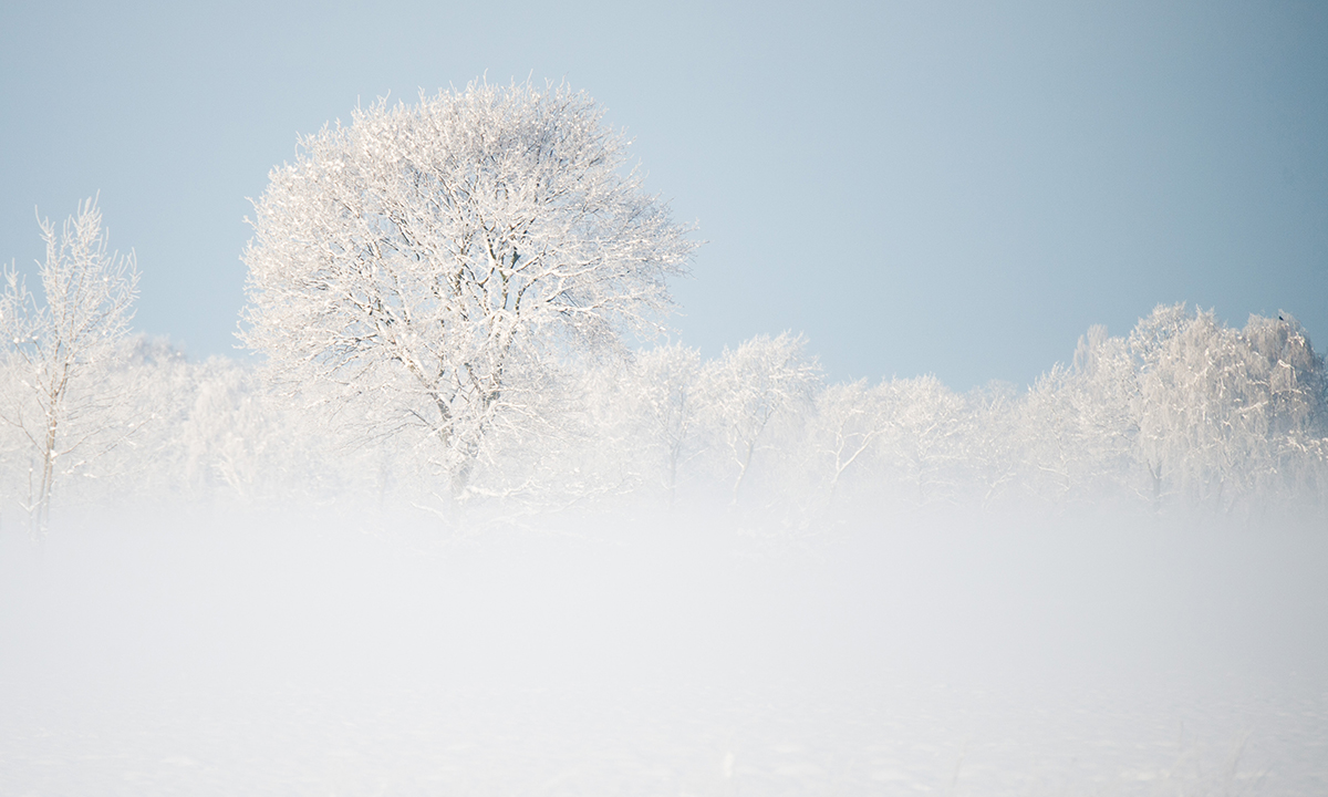 Un paesaggio imbiancato dalla neve