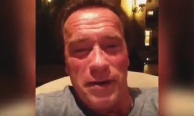 Oscar 2016 Schwarzenegger Stallone