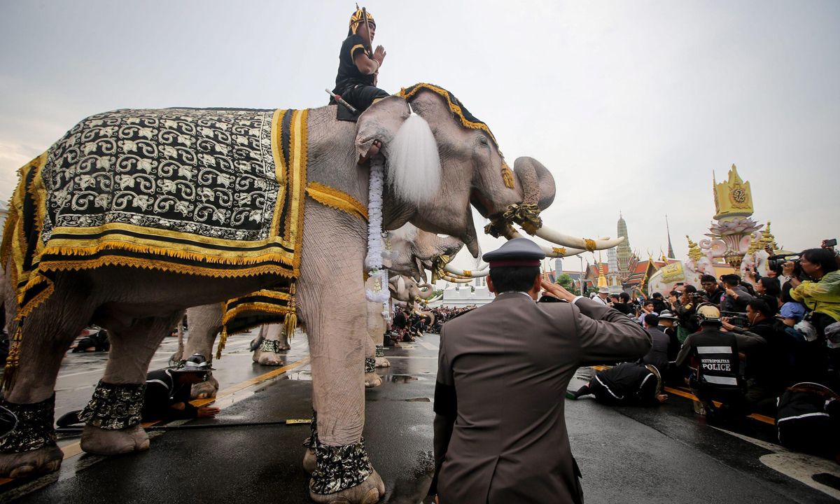 Thailandia in lutto per il re defunto: sfilata di elefanti