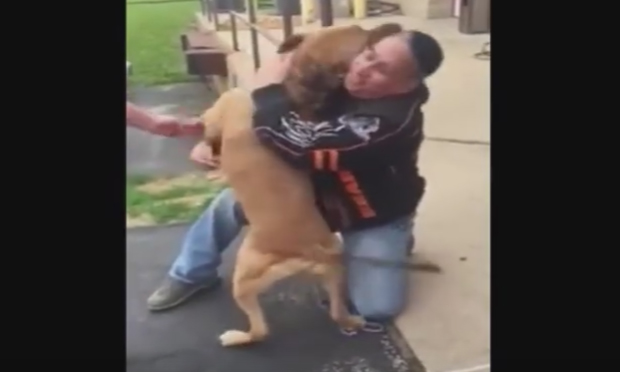 Un uomo ritrova il suo cane dopo due anni