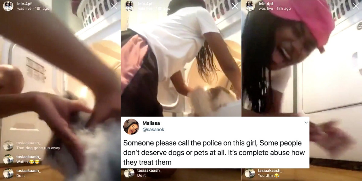 Texas Teen Sparks Outrage After Livestreaming Herself Putting Her Dog In The Dryer And Turning It On