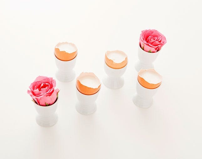 The Rose Bud Shaker Cup