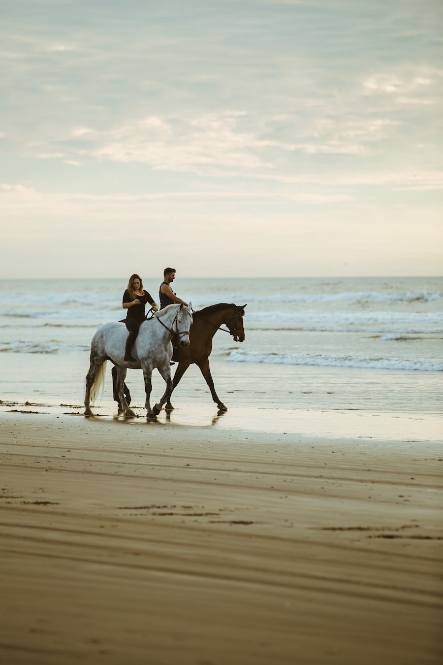 4 Places To Ride Horses On The Beach In Northern California