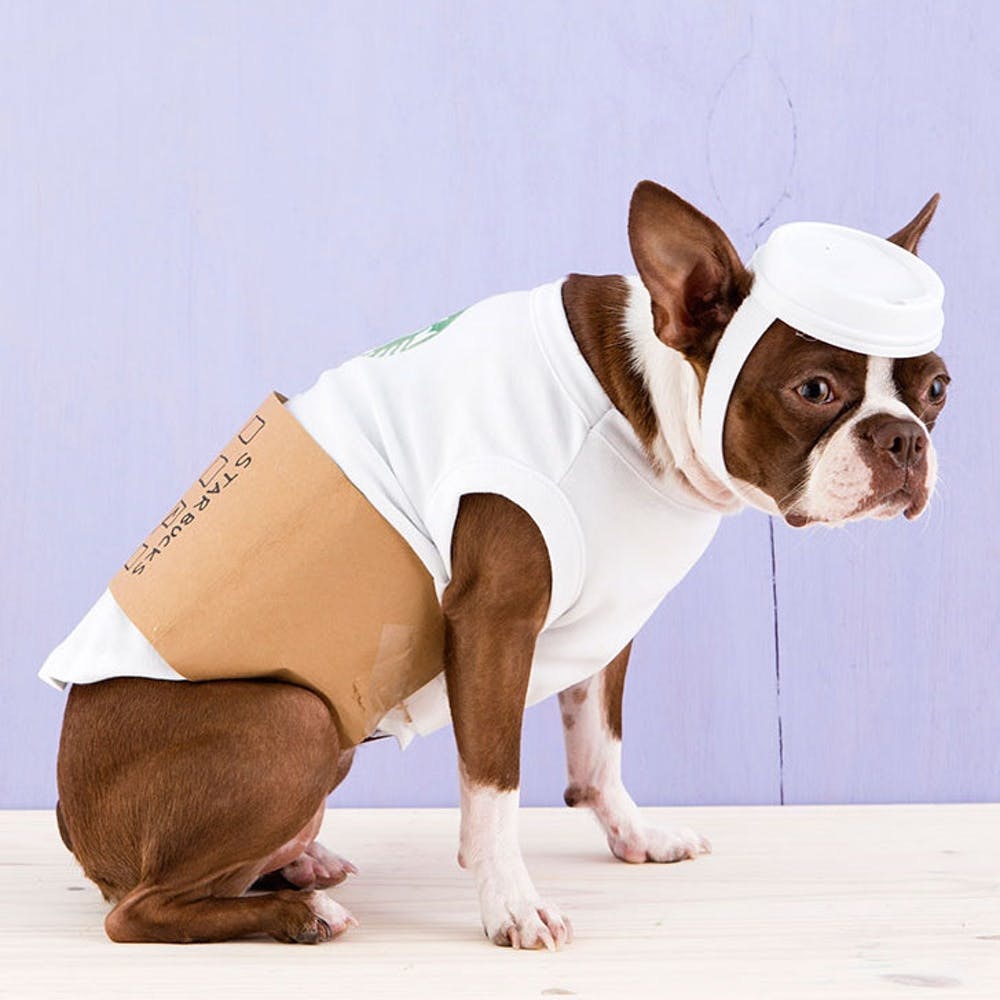 beanie baby dog costume