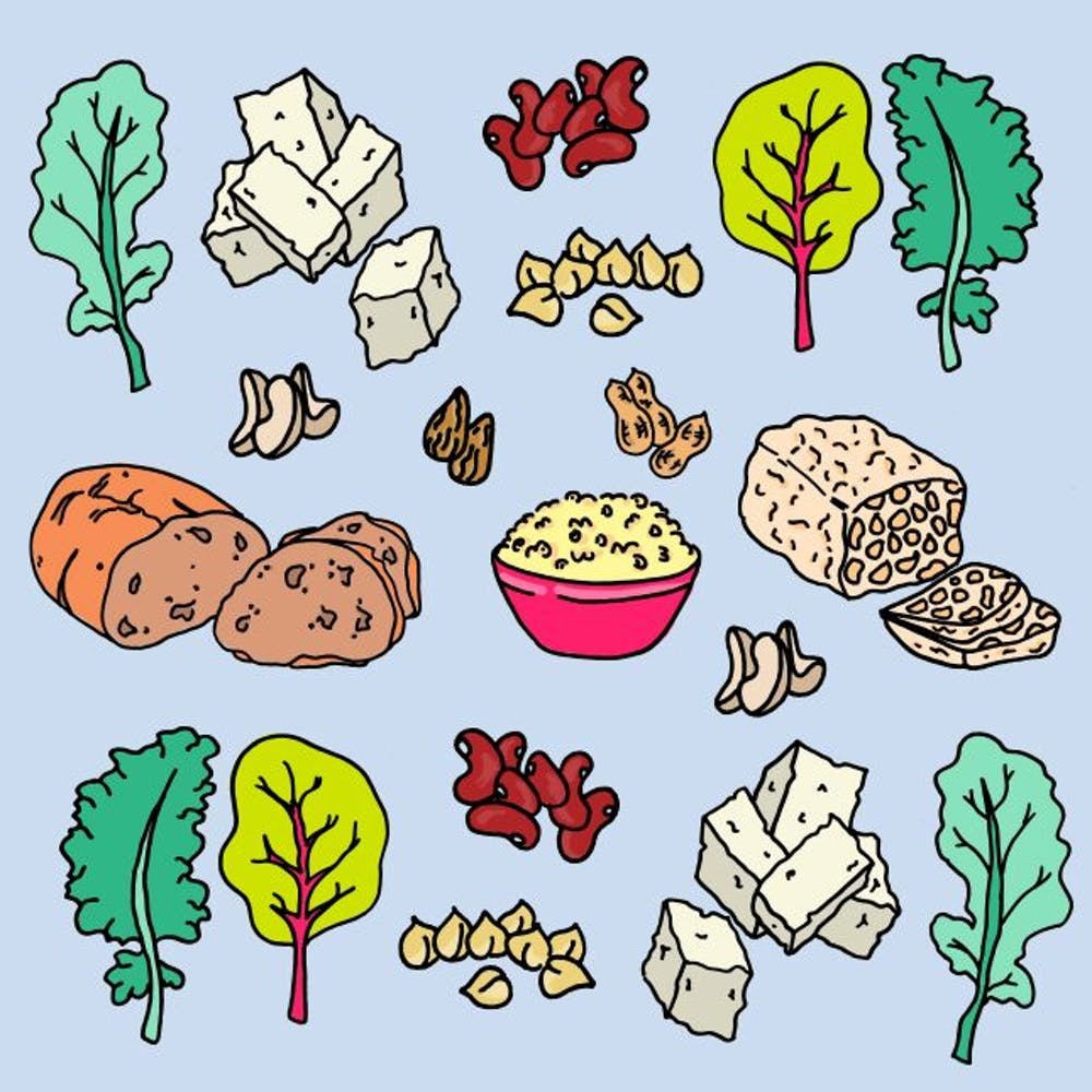 Line Drawing Of Foods That Provide Protein Including Meat And Fish High-Res  Vector Graphic - Getty Images