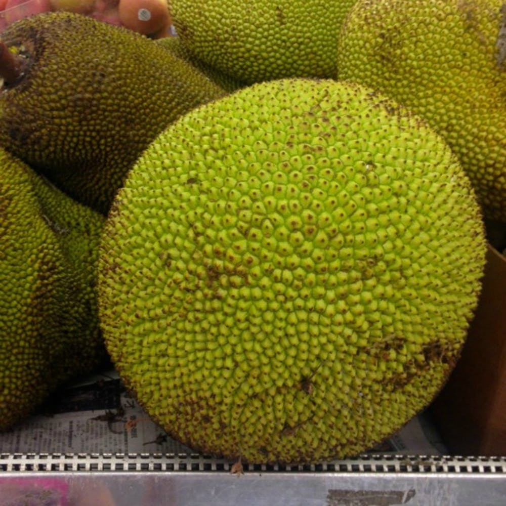 How To Prepare And Cook Jackfruit The Latest Vegan Food Trend Brit Co