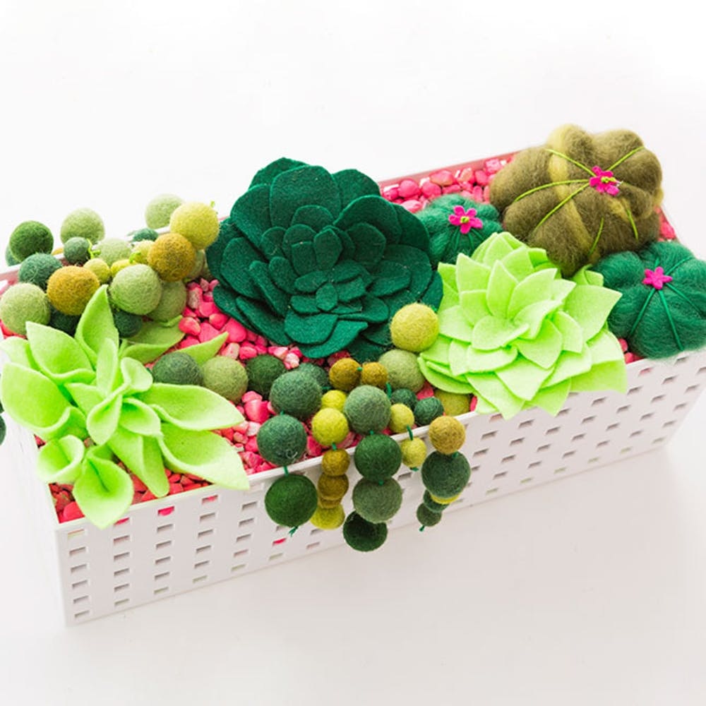 Use Felt to Create a Succulent Planter Box That Will Never Die - Brit + Co