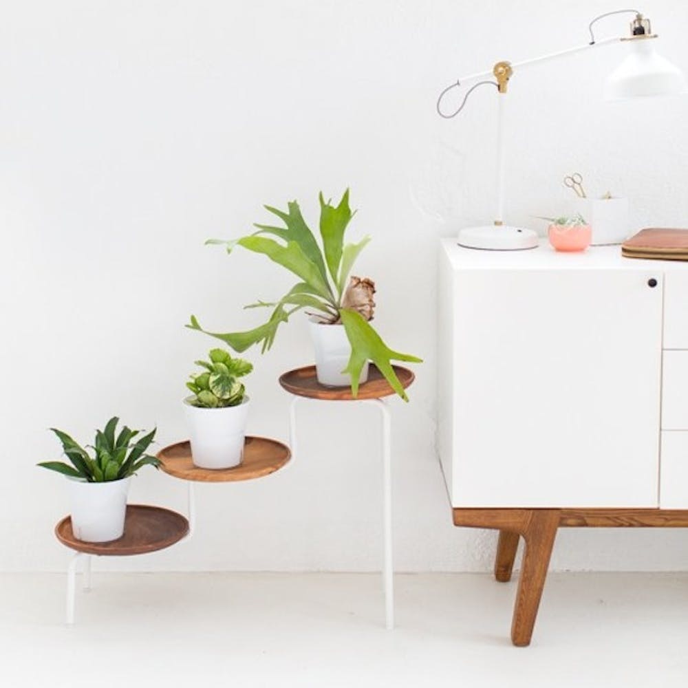 17 Modern Minimalist Diy Plant Stands That Ll Transform Your Space Brit Co