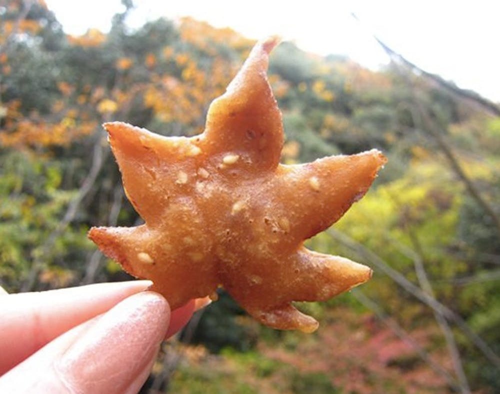 maple　笑主70点 WTF: Would You Eat Fried Maple Leaves? - Brit + Co