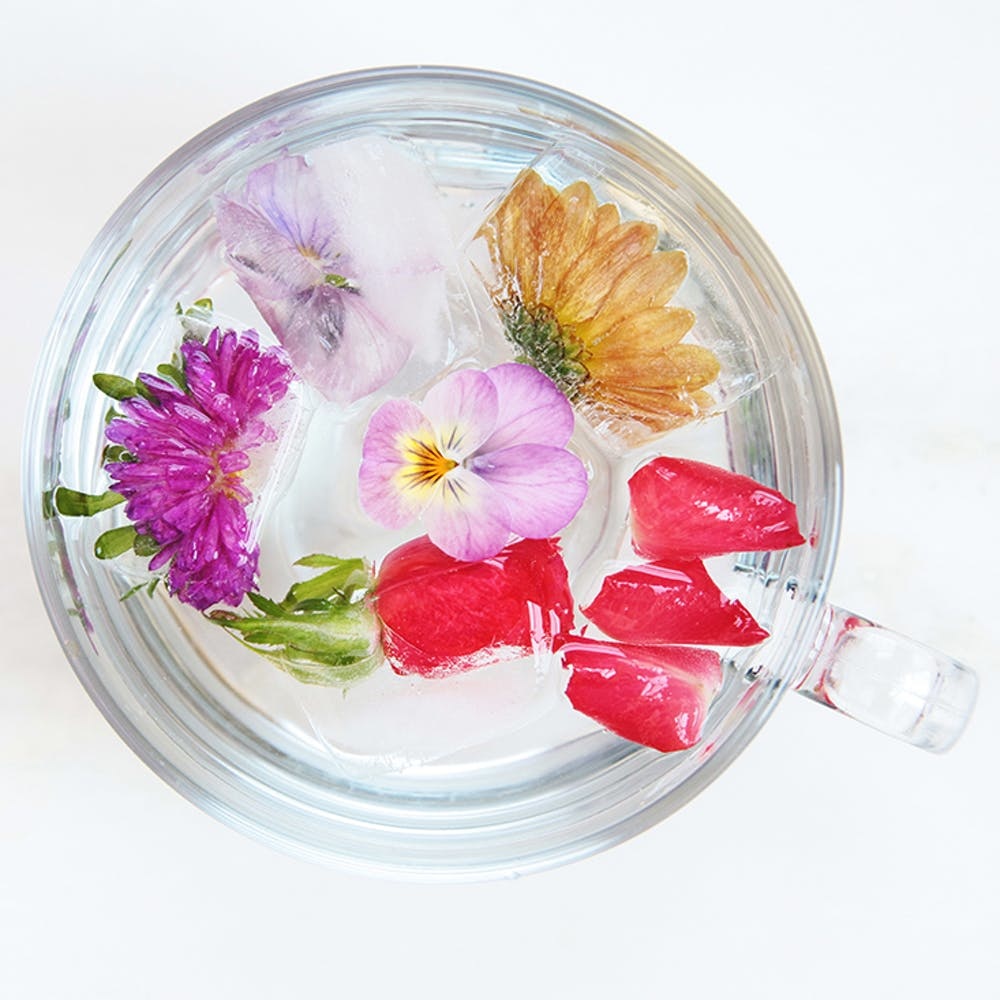 40 Heavenly Floral Drink Recipes to Kickstart Your Spring
