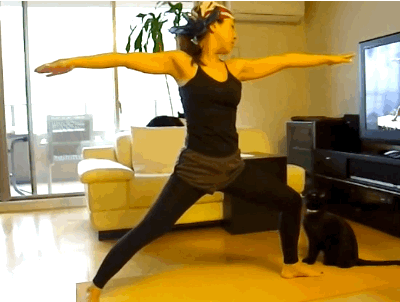 11 Cats Who'd Really Prefer Their Humans NOT Do Yoga Right Now